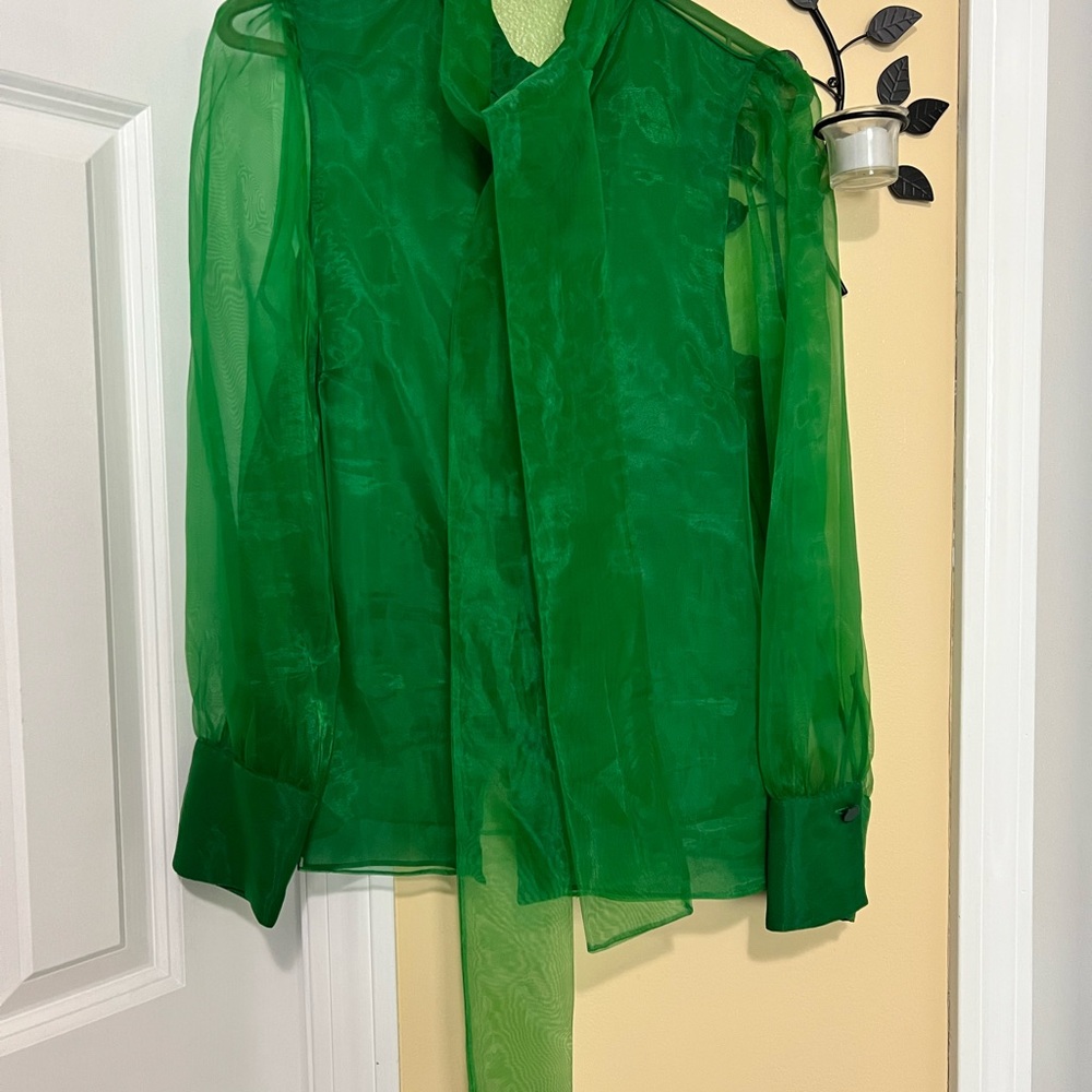 Zara Sheer Emerald Green Tie-Neck Shirt